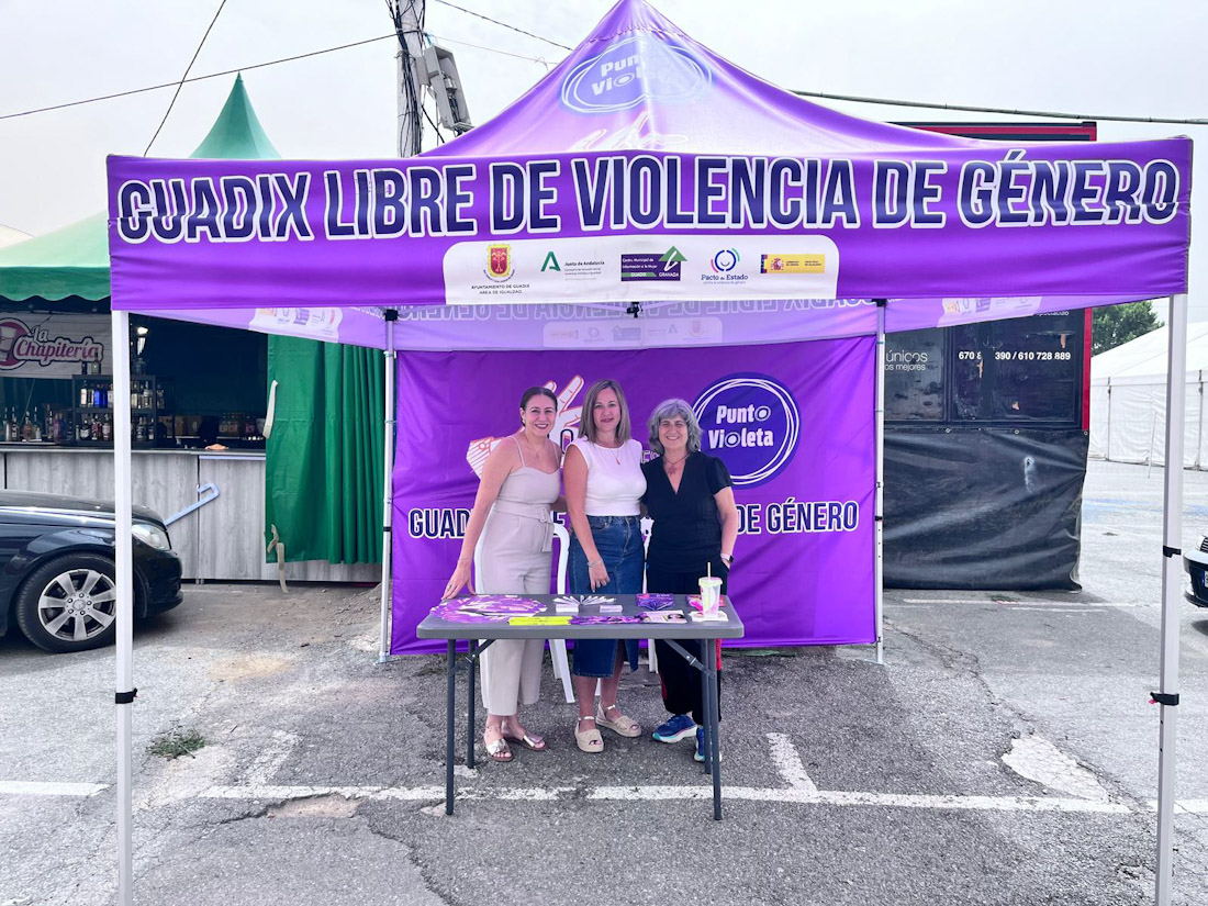 Punto Violeta (AYTO. GUADIX)