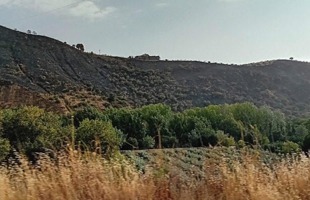 Zona afectada por el incendio del entorno de la Fuente de la Bicha tras su extinción (EUROPA PRESS) Zona afectada por el incendio del entorno de la Fuente de la Bicha tras su extinción (EUROPA PRESS)