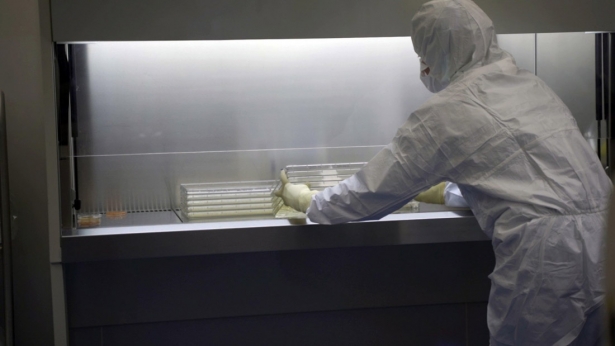 Un profesional en la sala blanca de la elaboración de piel artificial (HOSPITAL VIRGEN DE LAS NIEVES) Un profesional en la sala blanca de la elaboración de piel artificial (HOSPITAL VIRGEN DE LAS NIEVES)