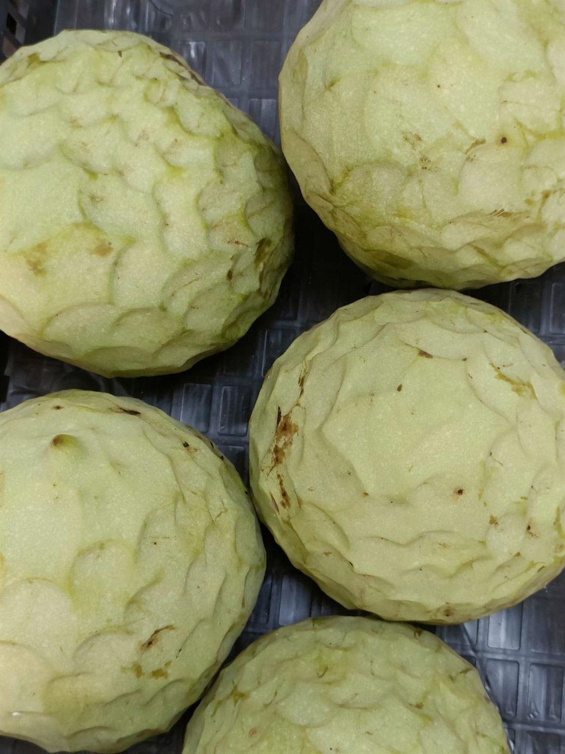 Primeros chirimoyos de la cosecha en tienda (EUROPA PRESS)