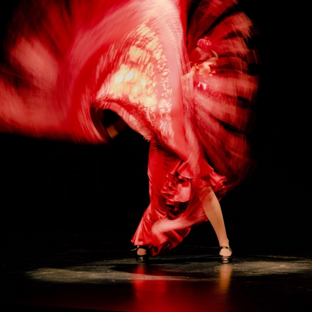 Imagen del espectáculo (TERESA MONTELLANO) Imagen del espectáculo (TERESA MONTELLANO)