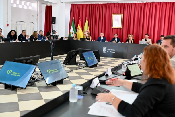 Pleno extraordinario de Diputación (DIPGRA)