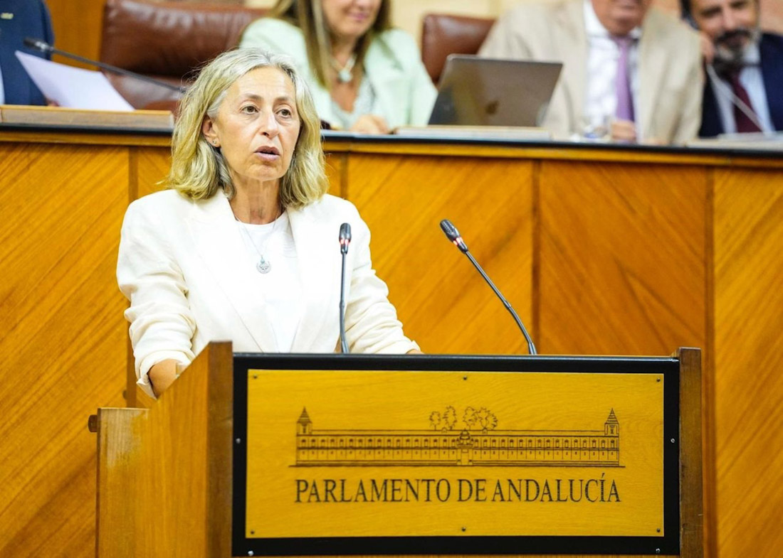 La consejera de Salud, Rocío Hernández, este pasado miércoles durante su comparecencia en el Pleno del Parlamento (JOAQUÍN CORCHERO/PARLAMENTO DE ANDALUCÍA)
