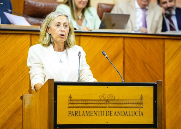 La consejera de Salud, Rocío Hernández, este pasado miércoles durante su comparecencia en el Pleno del Parlamento (JOAQUÍN CORCHERO/PARLAMENTO DE ANDALUCÍA)