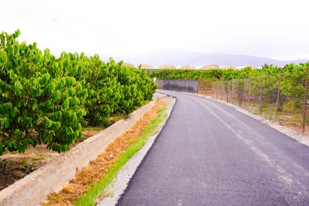 Visita a el Camino El Partiero (AYTO. MOTRIL)