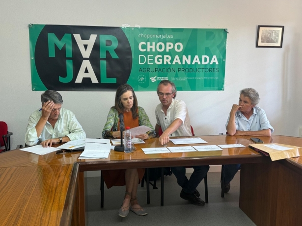 Subasta Marjal (JORGE R. PUCHE)