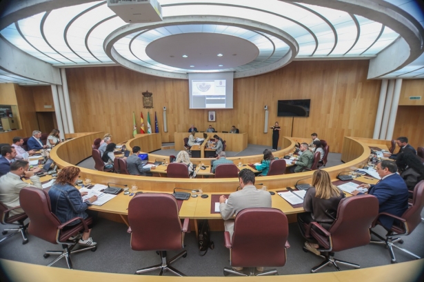 Pleno de la DIputación de Granada (GPMEDIA)