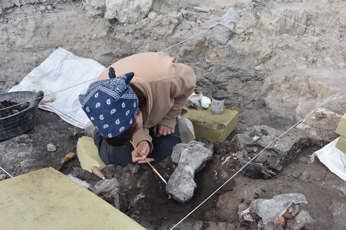 Imagen de archivo de la pasada campaña en Baza 1 1 (AYTO. BAZA)