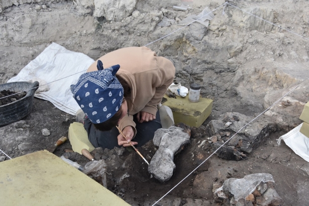 Imagen de archivo de la pasada campaña en Baza 1 1 (AYTO. BAZA)