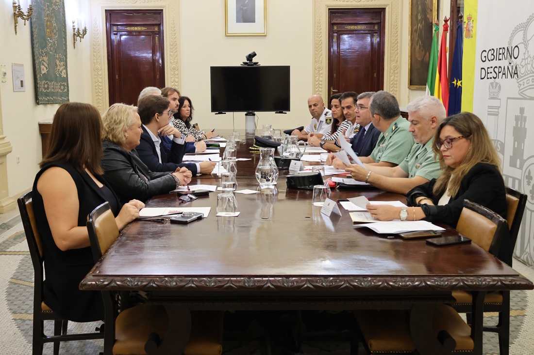 Inicio del Plan Director (SUBDELEGACIÓN)