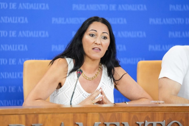 La portavoz adjunta del grupo Por Andalucía, Alejandra Durán, en rueda de prensa en el Parlamento andaluz (JOAQUIN CORCHERO - EUROPA PRESS) La portavoz adjunta del grupo Por Andalucía, Alejandra Durán, en rueda de prensa en el Parlamento andaluz (JOAQUIN CORCHERO - EUROPA PRESS)