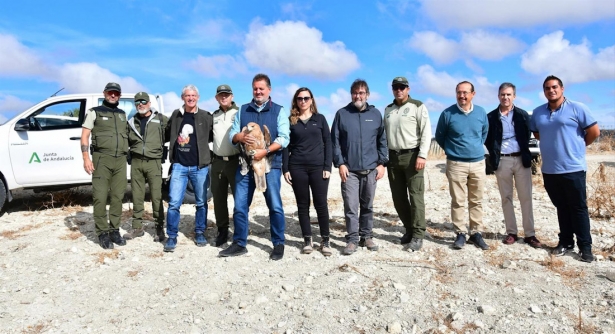 El delegado de Sostenibilidad de la Junta en Granada, Manuel Francisco García, ha liberado el ejemplar de águila (JUNTA)