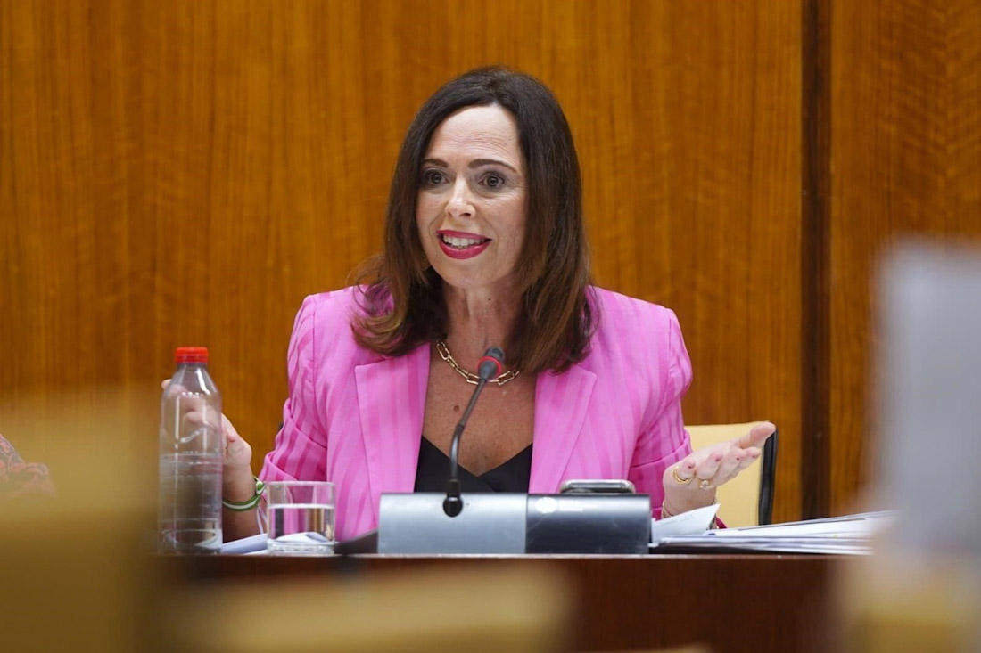 Comparecencia de la consejera de Fomento, Articulación del Territorio y Vivienda, Rocío Díaz, en comisión parlamentaria sobre el desarrollo de áreas logísticas en Andalucía (JUNTA DE ANDALUCÍA)