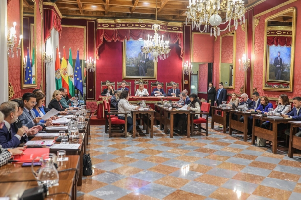 Pleno del Ayuntamiento de Granada (GPMEDIA)