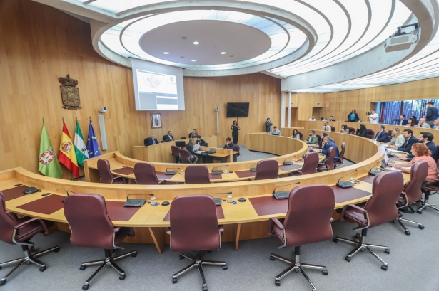Pleno extraordinario de Diputación con la ausencia de los diputados del PSOE (GPMEDIA)