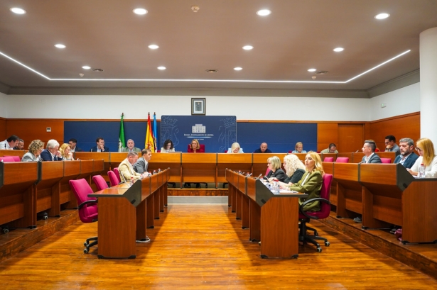 Pleno del ayuntamiento de Motril (AYTO. MOTRIL)