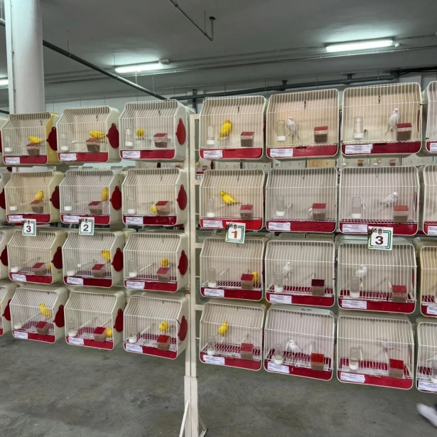 (AYTO. HUÉTOR TÁJAR) (AYTO. HUÉTOR TÁJAR)