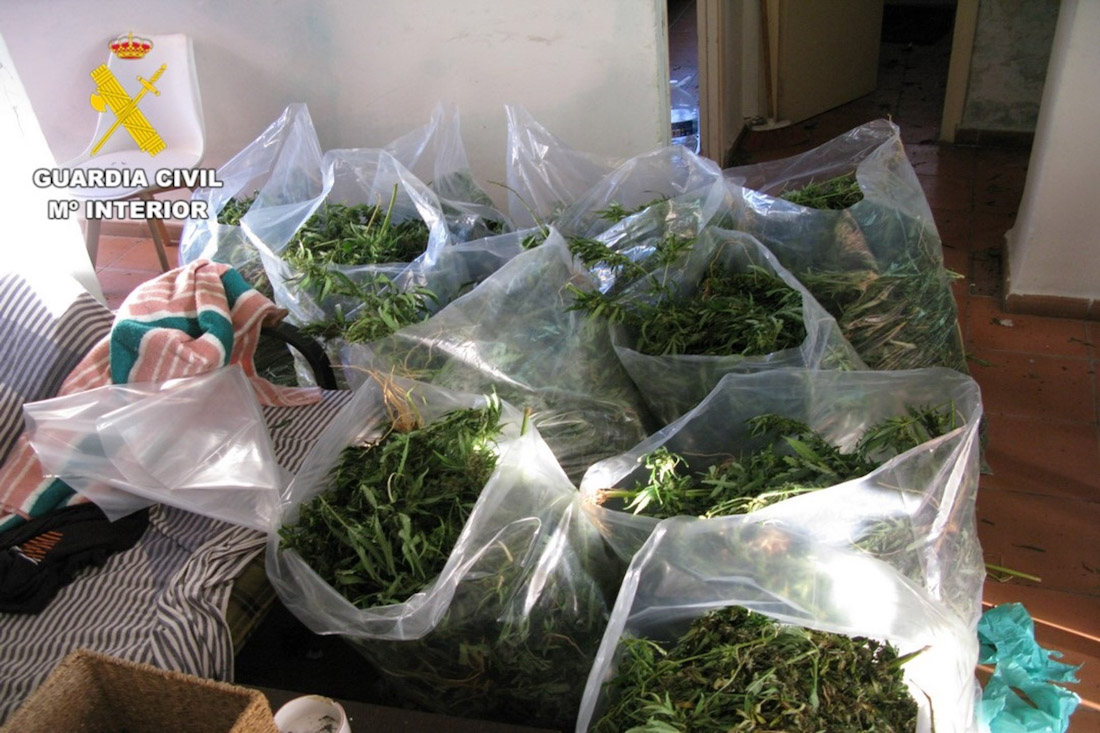 Marihuana intervenida en la operación `Almuelco25` (GUARDIA CIVIL)