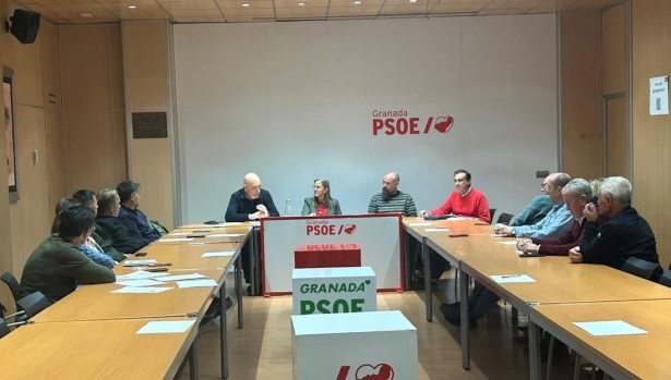 (PSOE)