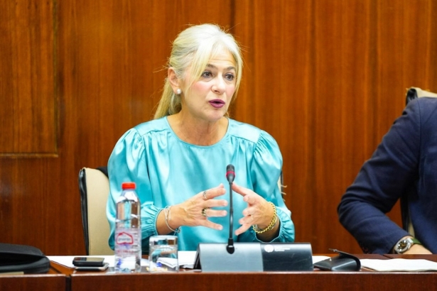 La consejera de Cultura y Deporte, Patricia del Pozo, en comisión parlamentaria este martes (JUNTA)