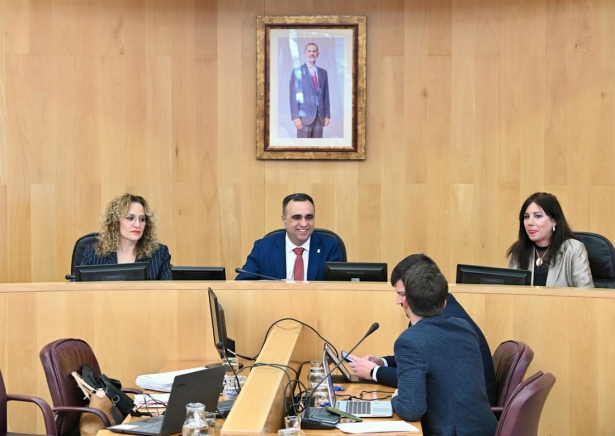 Pleno de la Diputación de Granada (DIPUTACIÓN DE GRANADA)