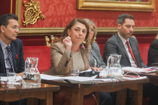 Concejales socialistas en el pleno (GPMEDIA)