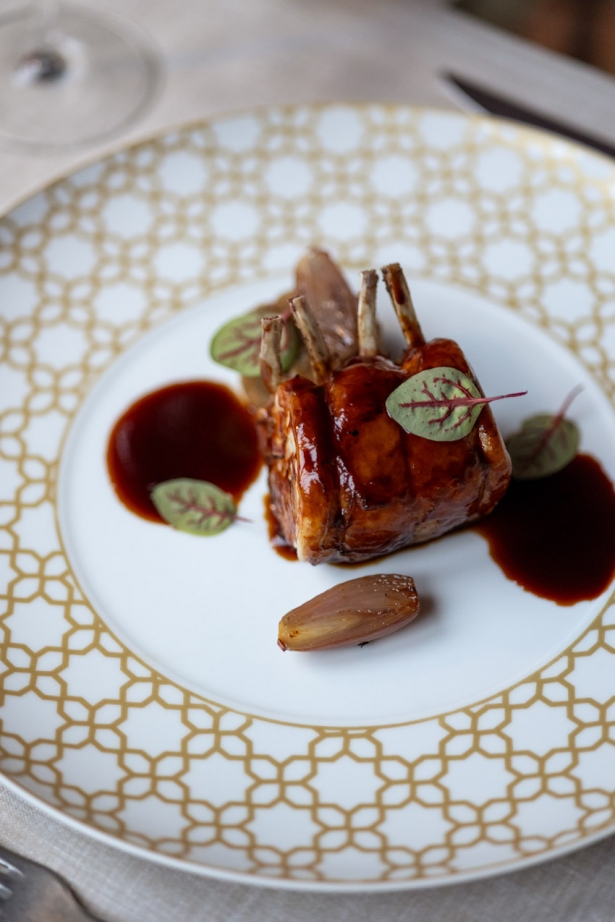 (EL CLAUSTRO) (EL CLAUSTRO)