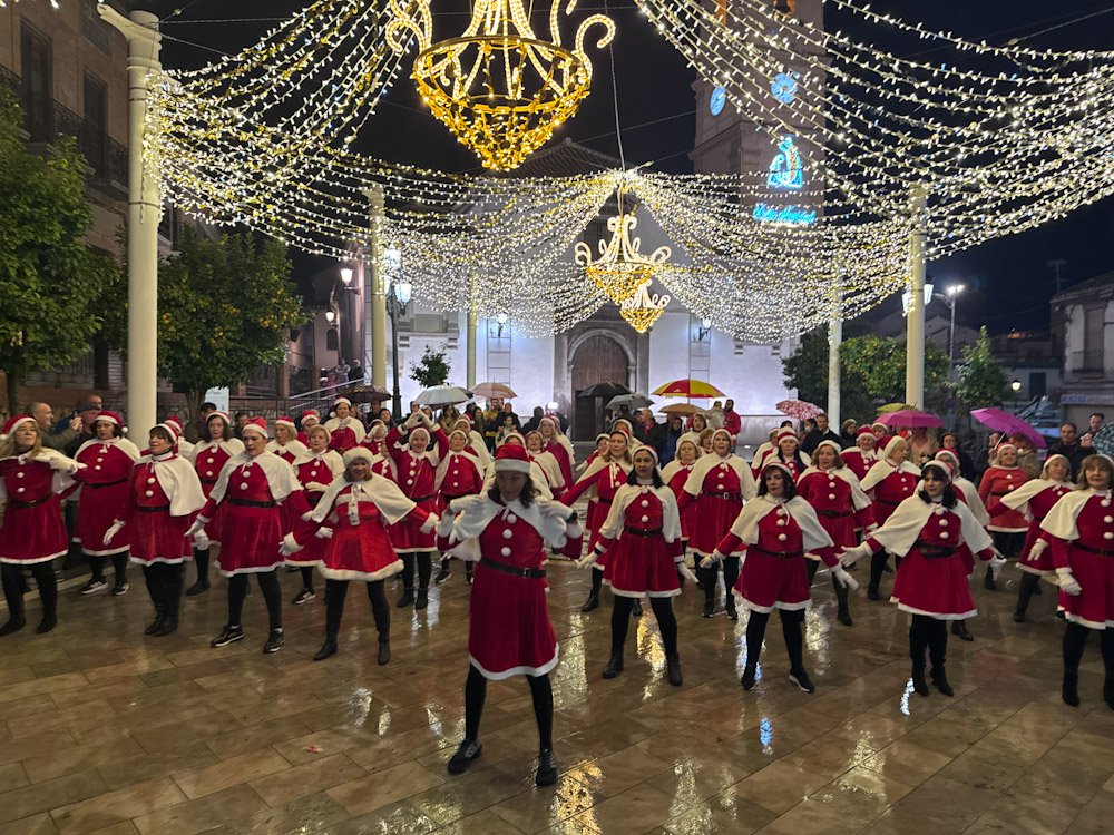 (AYTO. PINOS PUENTE)