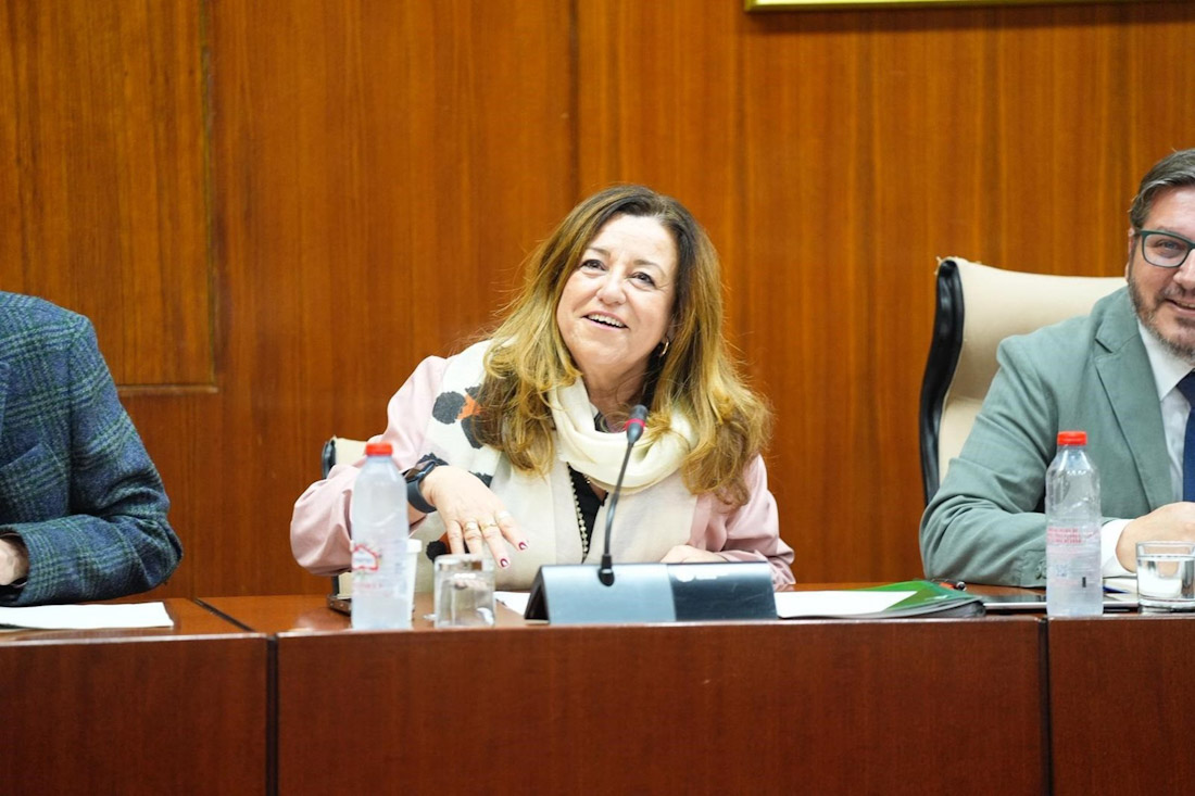 La consejera de Desarrollo Educativo y Formación Profesional, María del Carmen Castillo, en la comisión parlamentaria del 11 de diciembre de 2025 (JOAQUIN CORCHERO / PARLAMENTO DE ANDALUCIA)