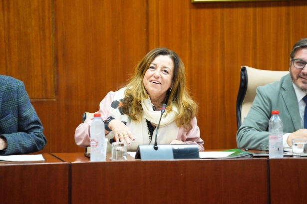 La consejera de Desarrollo Educativo y Formación Profesional, María del Carmen Castillo, en la comisión parlamentaria del 11 de diciembre de 2025 (JOAQUIN CORCHERO / PARLAMENTO DE ANDALUCIA)