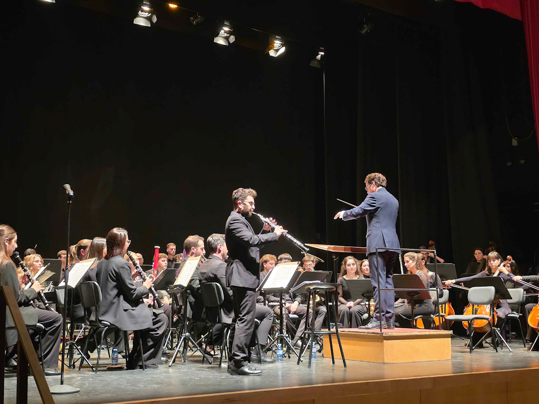 Imagen del concierto (AYTO. GUADIX)