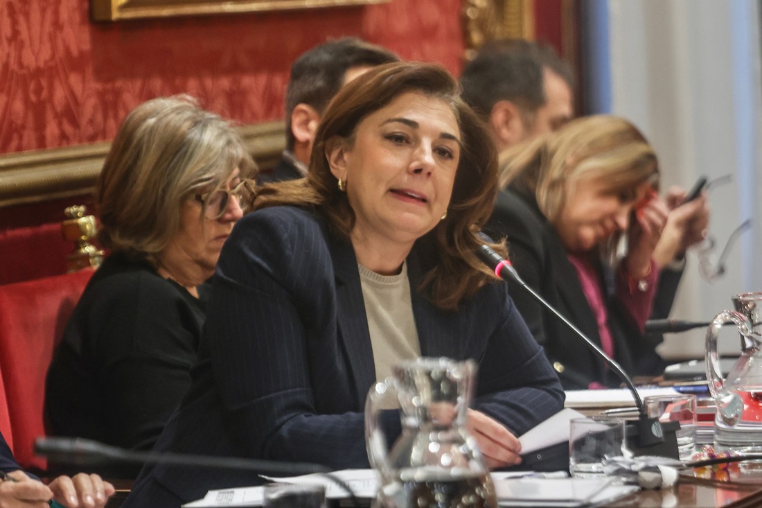 Raquel Ruz durante el pleno (GPMEDIA)