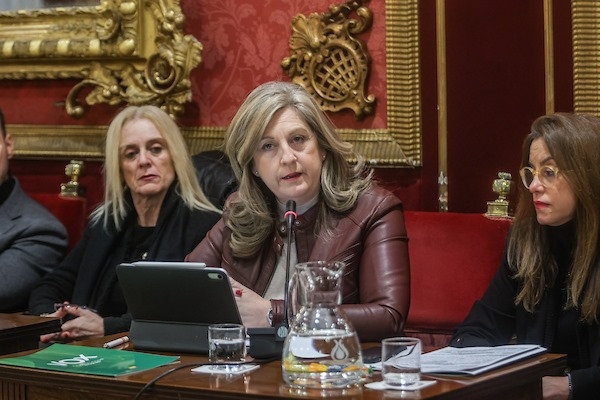 Grupo Municipal de VOX (GPMEDIA)