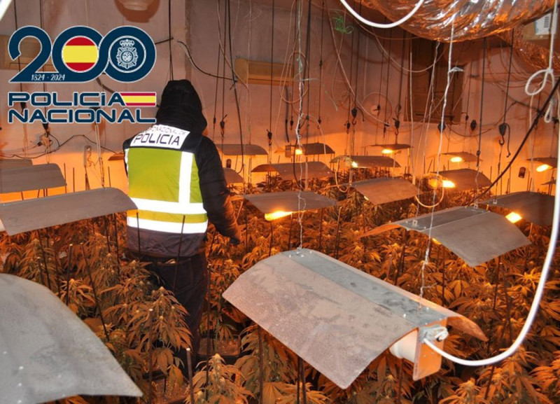Desmantelamiento de plantación indoor de marihuana en el Altiplano de Granada (POLICÍA NACIONAL)