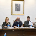 Pleno del Ayuntamiento de Albolote (AYTO. ALBOLOTE)