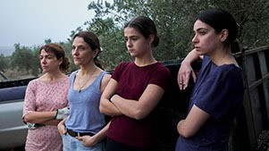 Fotograma de Lso Tortugas (JUNTA)