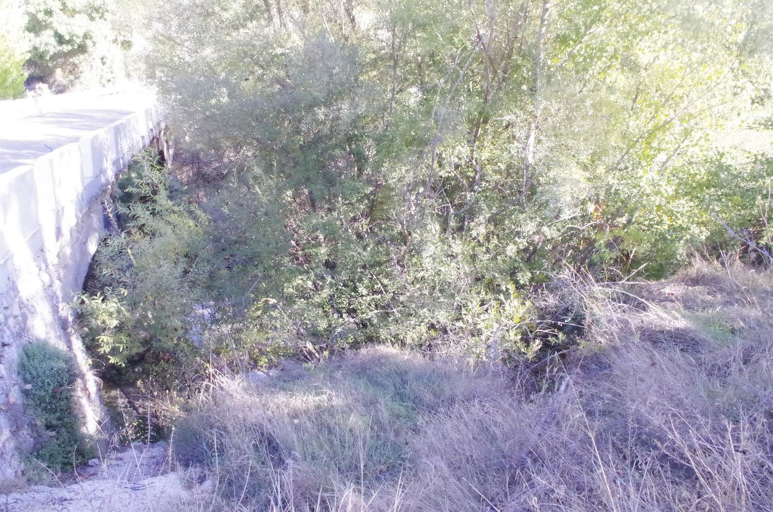 Río Velillos, en término de Moclín (ECOLOGISTAS EN ACCIÓN)