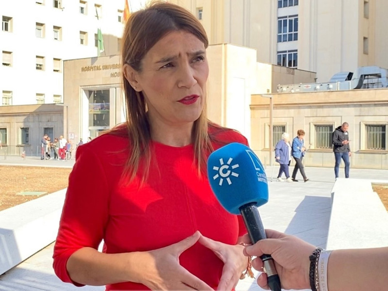 La parlamentaria andaluza del PSOE Olga Manzano (PSOE)