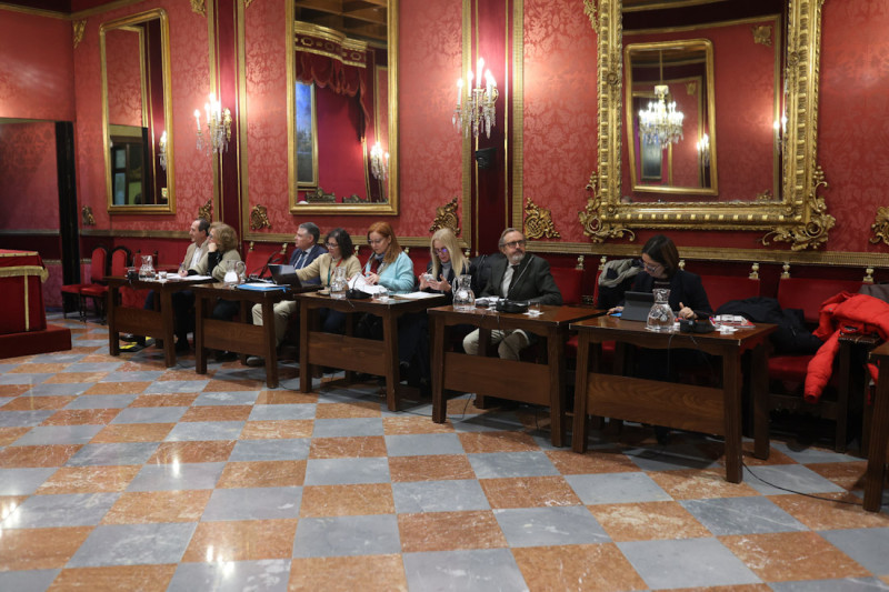 Comisión delegada en el Ayuntamiento de Granada (GPMEDIA)