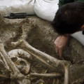 Trabajos en una fosa común. Archivo (ÁLEX CÁMARA - EUROPA PRESS)