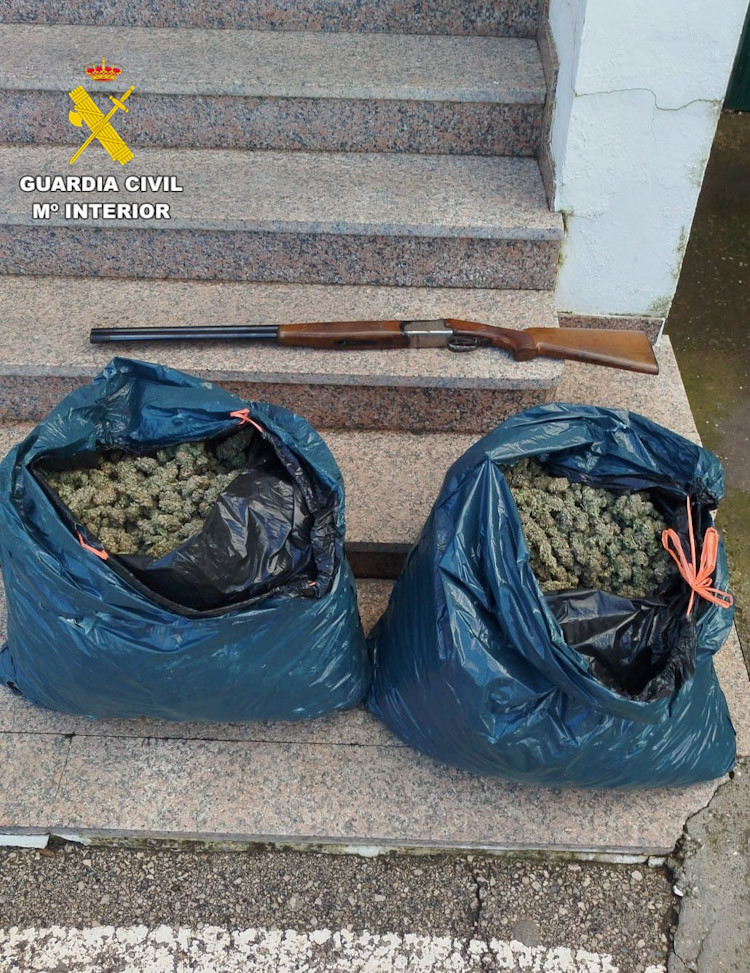 Marihuana incautada (GUARDIA CIVIL)