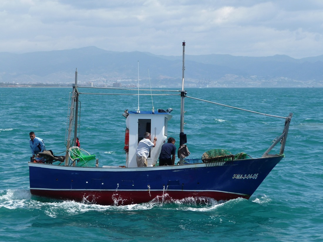 Marisquero pescador (JUNTA)