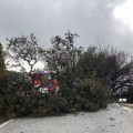 Árbol caído en la carretera en Loja (DIPGRA)