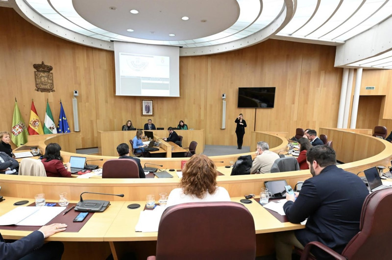 Pleno de la Diputación de Granada (DIPUTACIÓN DE GRANADA) Pleno de la Diputación de Granada (DIPUTACIÓN DE GRANADA)