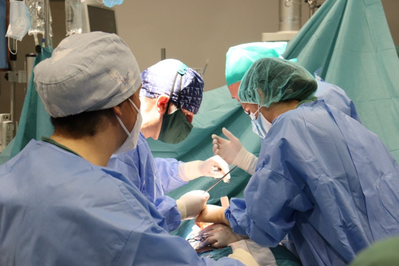 Imagen de un trasplante  (JUNTA)