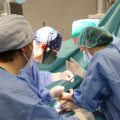 Imagen de un trasplante  (JUNTA)