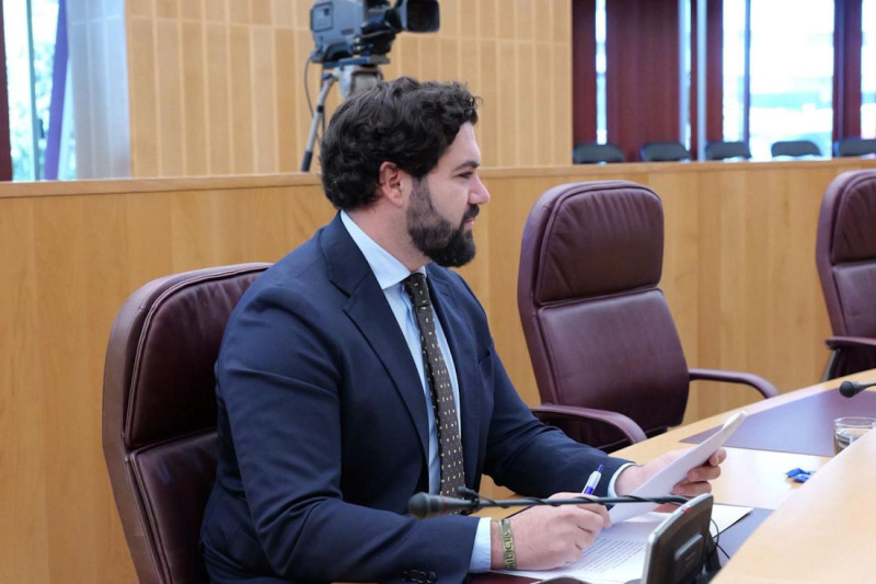 El diputado provincial de Vox en Granada, Gustavo de Castro (VOX)