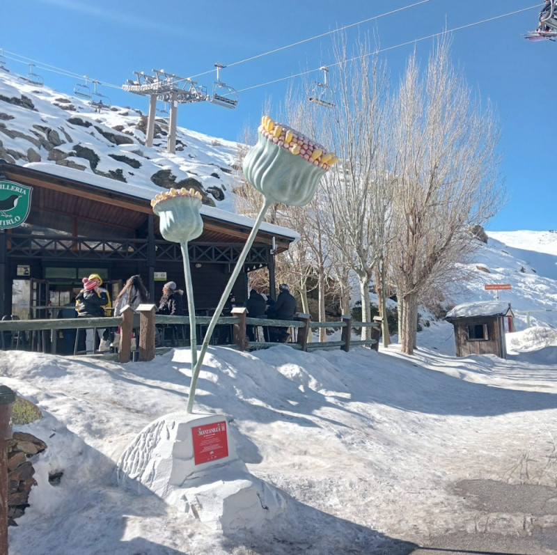 (AGUAS DE LANJARÓN)