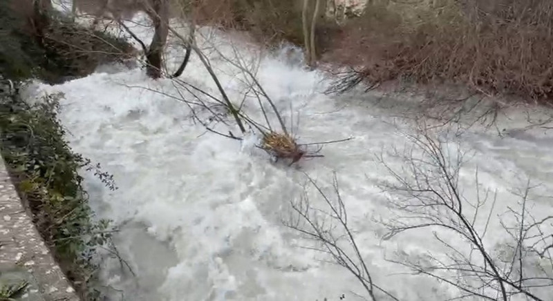 Captura de un vídeo del río Castril con el caudal por encima de los niveles propios de otros inviernos el pasado lunes