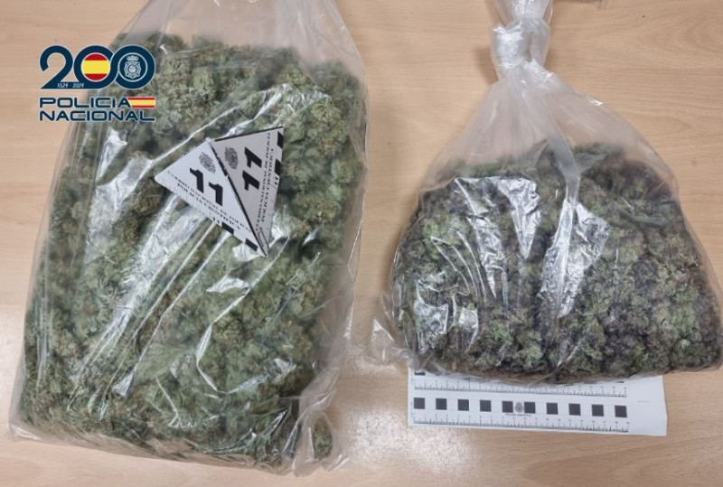 Marihuana incautada (POLICIA NACIONAL)